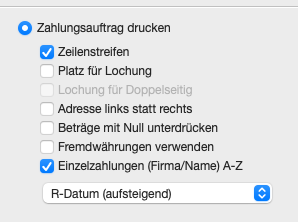 Druckoptionen für Zahlungsliste