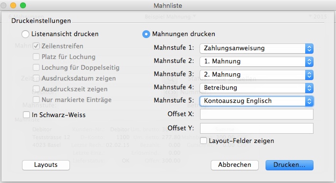 Druckdialog für Mahnungen in LoopsFinanz