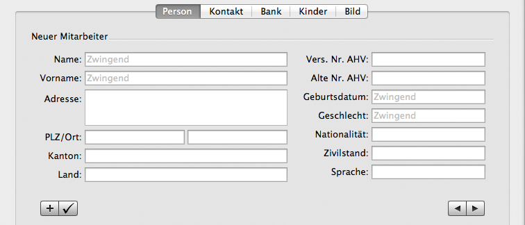 Erfassungsbereich mit Bereichen und Eingabefeldern in LoopsLohn