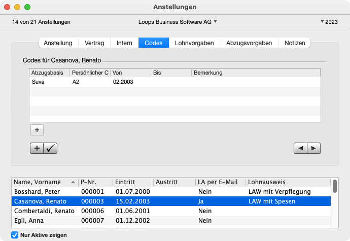 Bereich Codes im Fenster Anstellungen