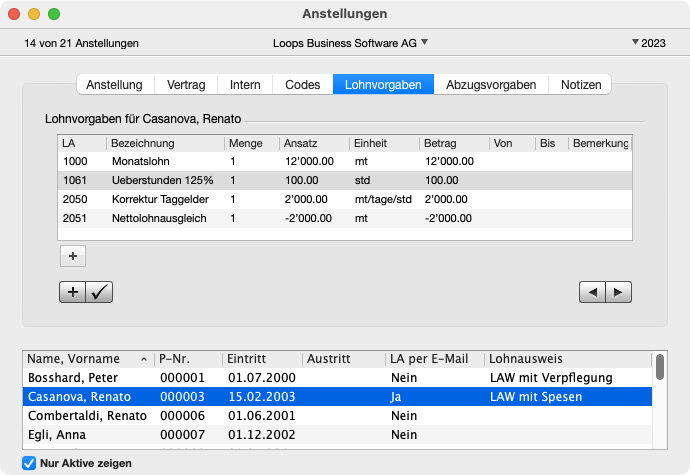Bereich Lohnvorgaben im Fenster Anstellungen