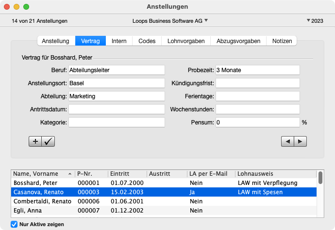 Bereich Vertrag im Fenster Anstellungen
